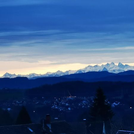 Apartamento Alpenpanorama Haegelberg Steinen  Exterior foto